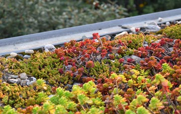the cost of Whitestreet Green green roof installation