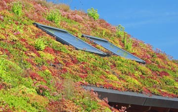 Whitestreet Green living roof systems